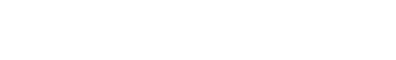 Pilot Practice logo